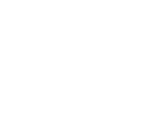 Maven Business Plan